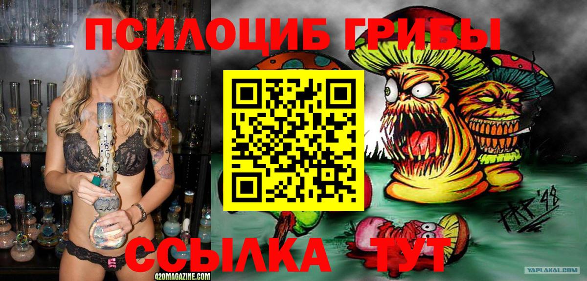 Псилоцибиновые грибы Cubensis Кинель