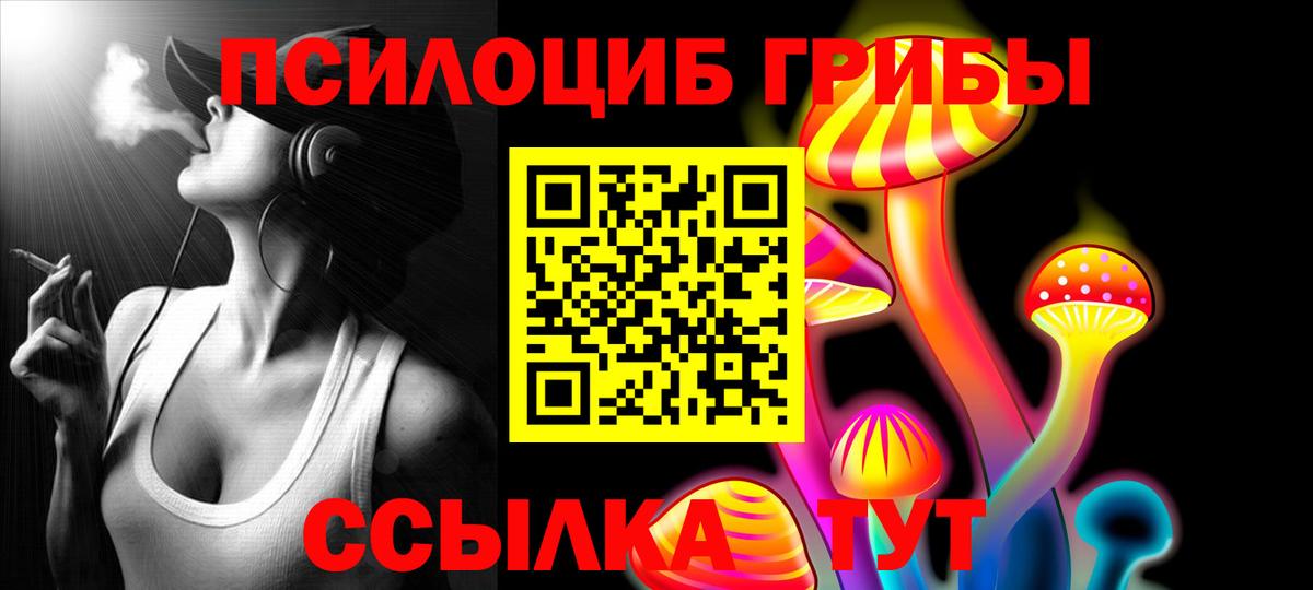 Кинель  Псилоцибиновые грибы Psilocybe  Вход с VPN  Галлюциногенные грибы Psilocybine cubensis 
